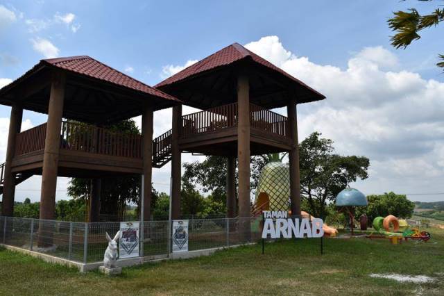 29432252_2049736291971709_2854791107257040896_n