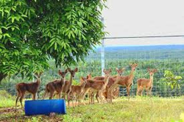 29496197_2050142921931046_5565227917018923008_n