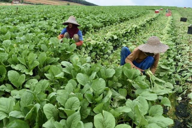 29512425_2050143071931031_2712901064427831296_n