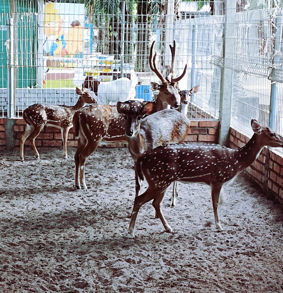 303109065_444045571096565_5127656495764571430_n